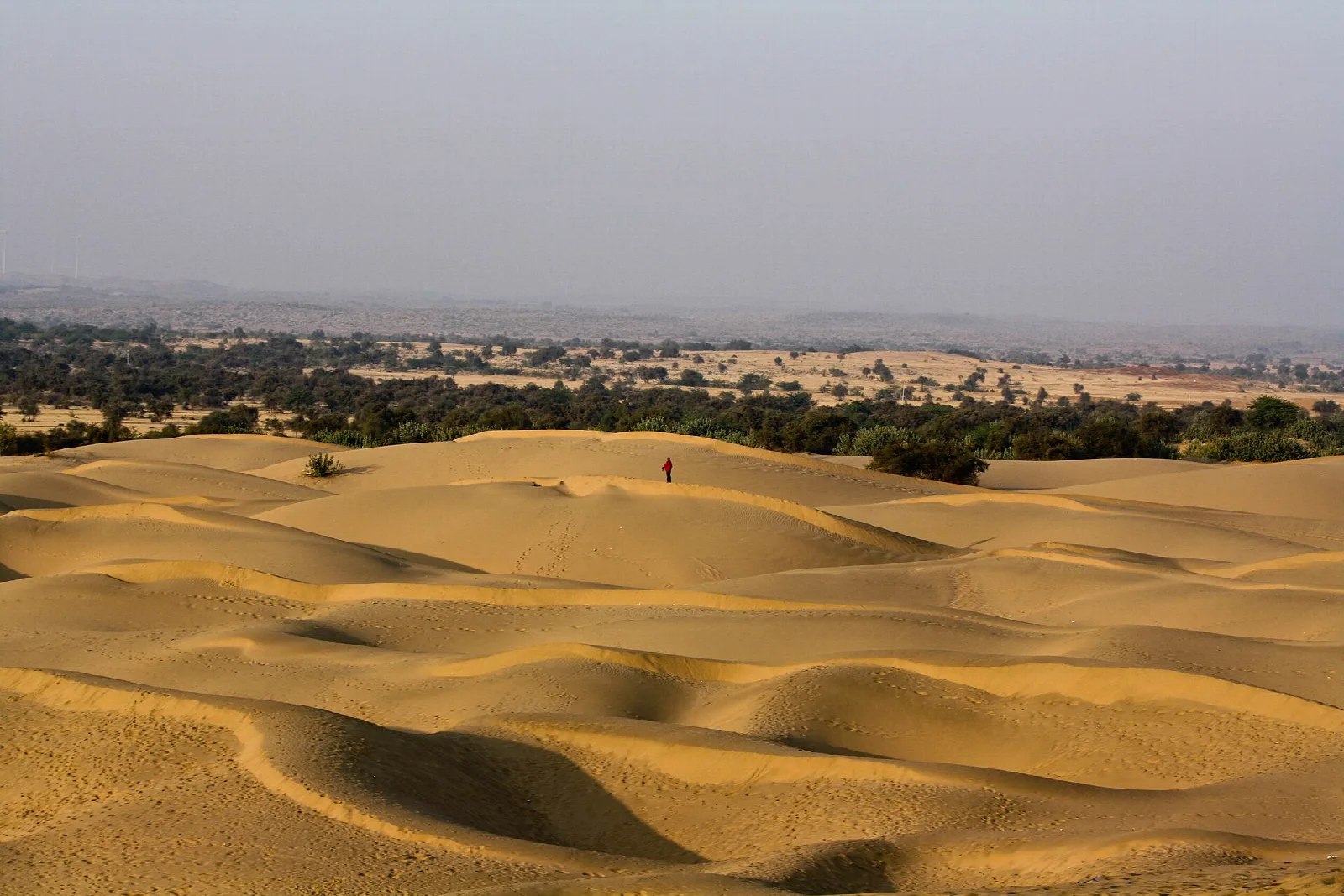 Desert Camps in Jaisalmer